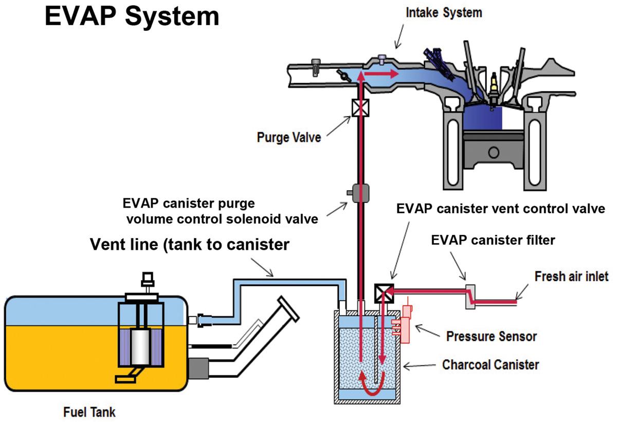 Simple EVAP system diagram showing how fuel vapors flow through the system